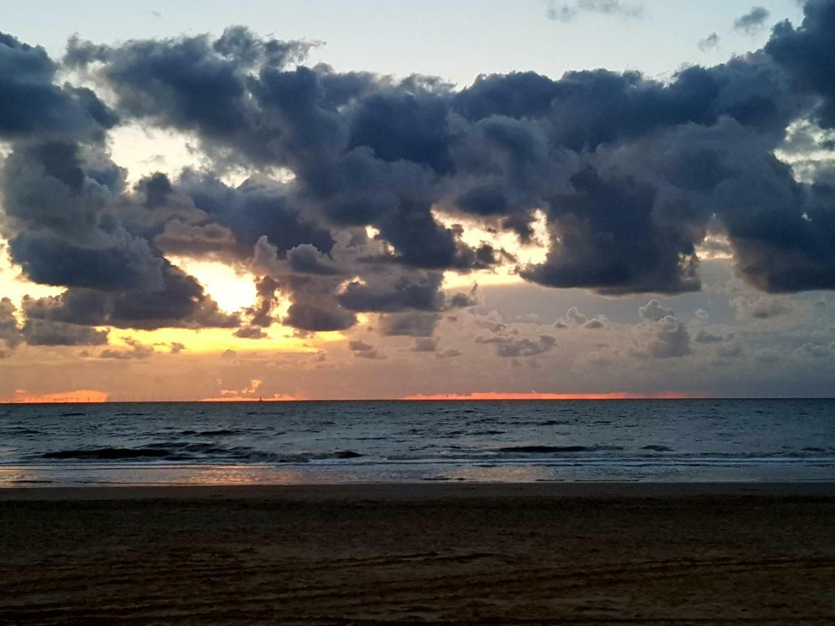Excellent Beach Apartments Zandvoort Εξωτερικό φωτογραφία